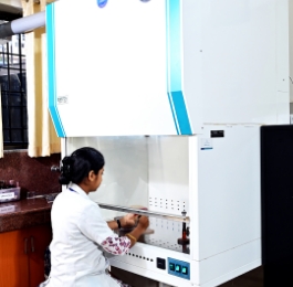 Image Caption