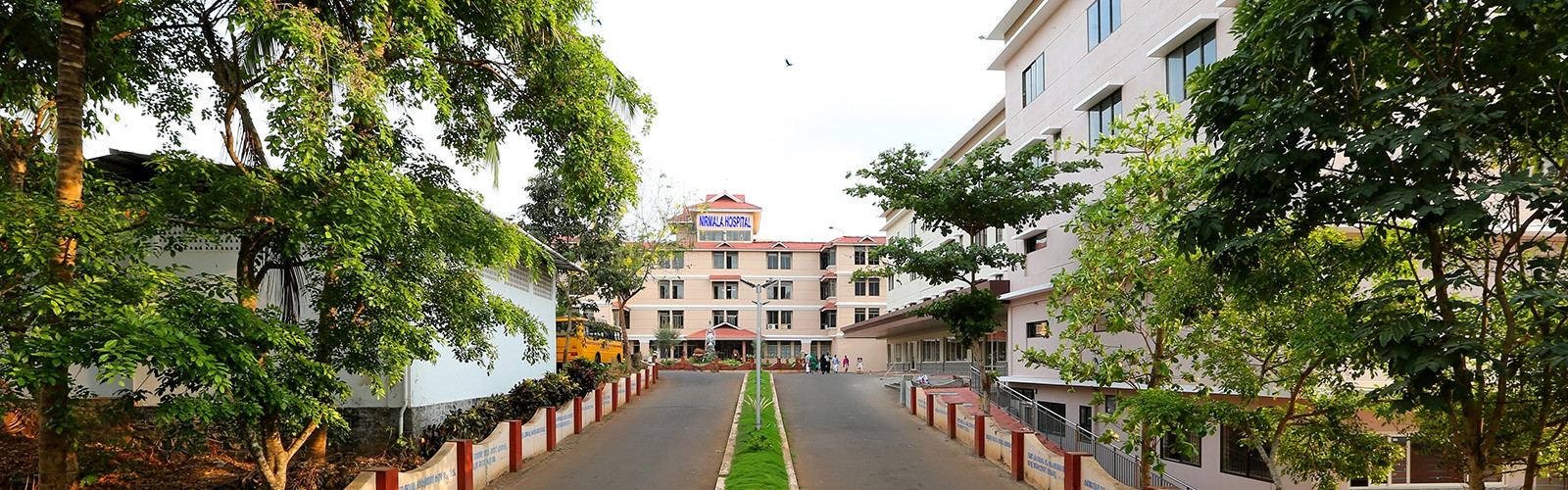 Image Caption